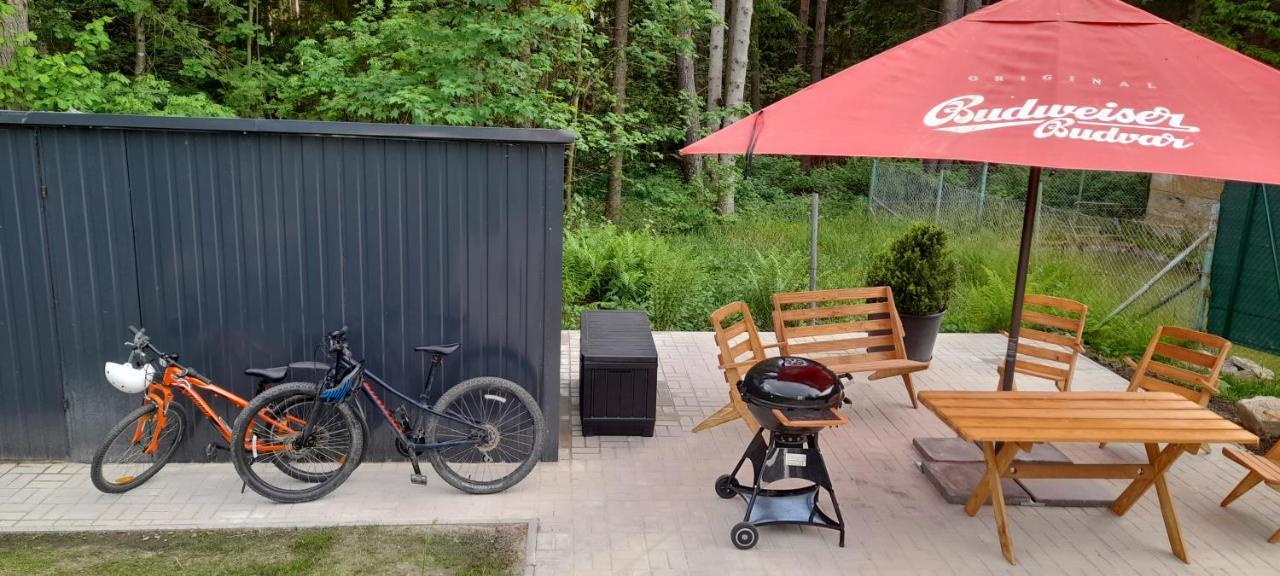 Apartment Aktiv Lipno