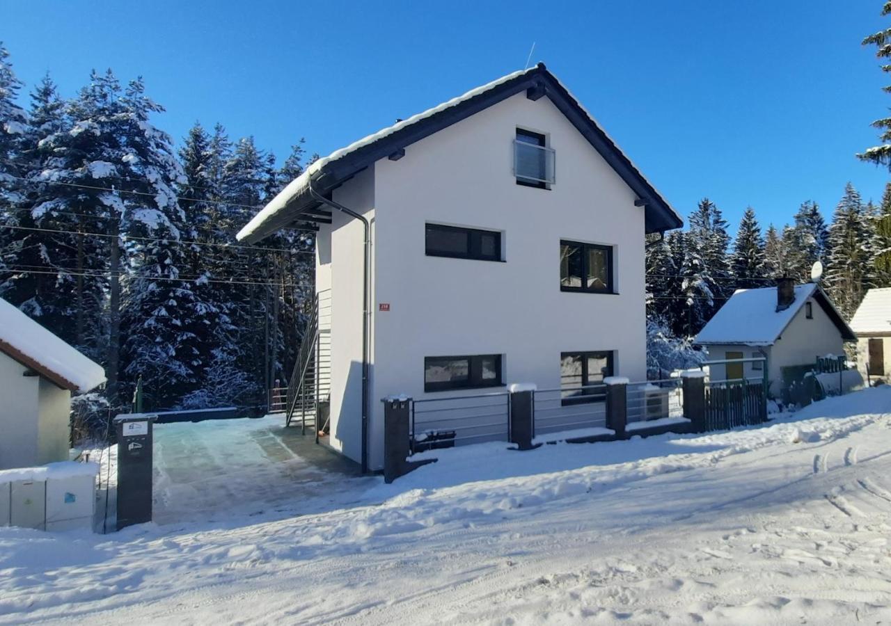Apartment Aktiv Lipno
